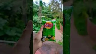 Layss!!💚
