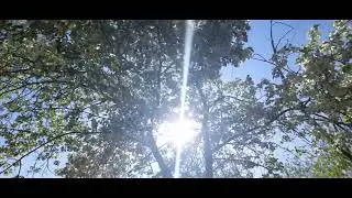 Вот лист возьму