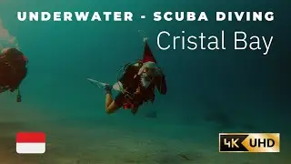 Cristal Bay Underwater, Scuba Diving in Indonesia