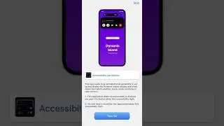 Dynamic island permission