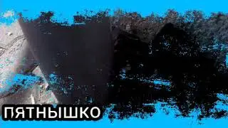 коты воители монастырское племя эксклюзивная серия дети 4 серия 1 сезон