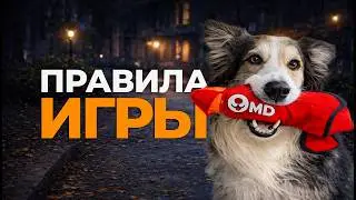 7 правил игры 🐶 Научить собаку играть с хозяином по команде Кусь 🐕 Приучить щенка кусать игрушку 🐩