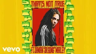 Skip Marley - That's Not True (Audio) ft. Damian 