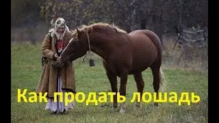 Как продать лошадь в хорошие руки?