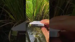 I phone ke sath experiment 🤫 