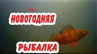 Рыбалка 2024. С Новым Годом!