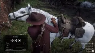 Где найти чит-код на элитного скакуна (RDR2)