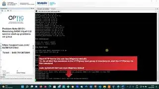 Problem Note 69131: Resolving SAS® Viya® 3.5 service start-up problems on Linux - Neuquén-Argentina