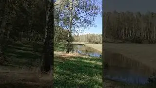 #ваз #классика #природа #русь #алтай