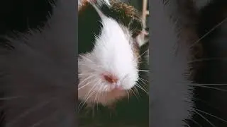 Кася и Бася❤️ #shorts