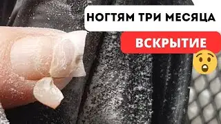 Ногтям три месяца. Вскрытие и ремонт.