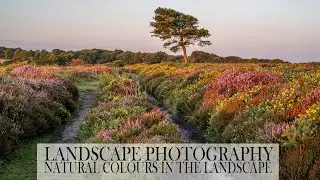 Landscape photography - Natural colours