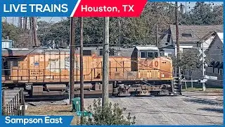 🔴 LIVE Trains Railcam | Houston, Texas (Sampson Street East Cam)
