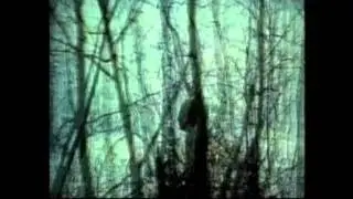 маленький принц