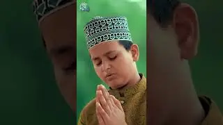 Manqabat Status Ganj Bakhsh Faiz e Alam - Syed Saqib Naqshbandi