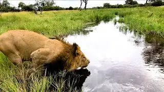 Die besten Videos aller Zeiten || The Best Videos of All Time (Teil 25)