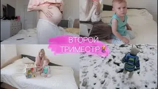Productive Pregnant Day🤰: Second Trimester