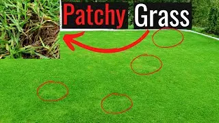 How to fix patchy lawn after heavy rain