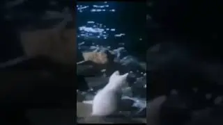 speedcore? (w/ juugmazafaka) #shorts #music