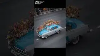 Лето в Питере 💞 