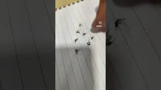 Sunny - Mosquito Version #dialogue #bollywood #movie  #ghatak #sunnydeol #youtubeshorts