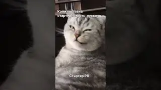 Приколи від СТАРТЕР-РВ: коли поставив стартер замість пускача #трактор #комбайн #тракторист #прикол