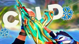 COLD SONG VALO MONTAGE
