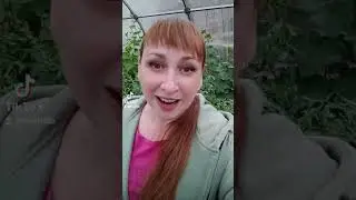 Находясь и в декрете и в теплице, можно получать!