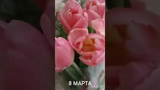 Милые женщины, девушки, девочки! С 8 марта вас!