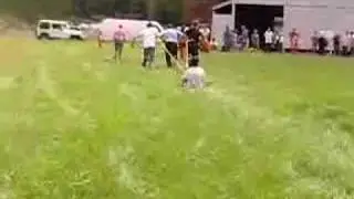 Бег в собачьей упряжке