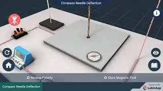 Magnetic Effects of Electric Current: Compass Needle Deflection