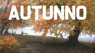 Fotografare l'AUTUNNO - FOLIAGE e esplosione di COLORI