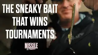 The Sneaky Bait That Wins Tournaments