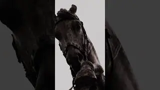 “Horses” new video by Kostja is out now on our YouTube Channel #alternative #kostja #horses