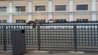 МЦД-2. Перегон Перерва - Москворечье. (2)