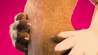 Zootopia Giantess Ellie (Judy Hopps) Vore By Tendou 1