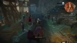 Witcher 3: Wild Hunt Gameplay 2nd. part