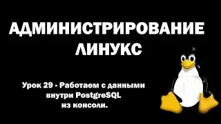 Linux Administration - Lesson 29 - Working with data inside PostgreSQL from the console.