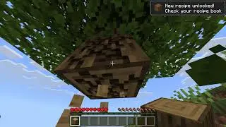Minecraft but i get RAILED every time i take damage