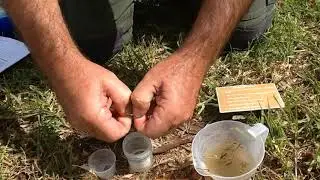 12:  Ammonia Testing
