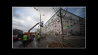 Собянин рассказал о гибели девочки в результате урагана в Москве