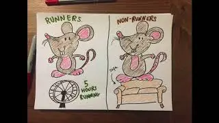 Runner's High