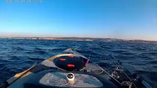 Départ d'une chasse Pélagiques  1er  partie ... en méditerranée
