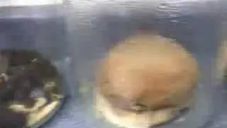 Why we shouldn't eat McDonalds