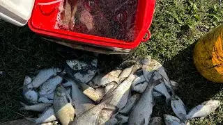 Cash in on this overlooked bait stock pile be ready for winter fishing!