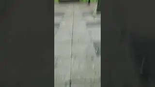 Fat yoshi