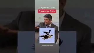Стратегия Орла