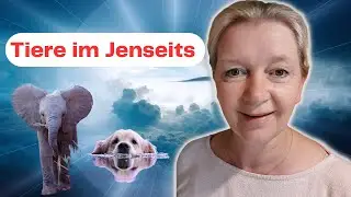 Tiere im Jenseits