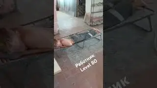 Богатырский сон на работе