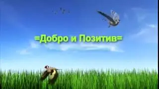 =Заставка Добра и Поитива=